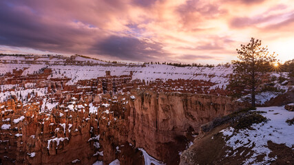 Wall Mural - Amphitheater of Bryce Canyon National Park at sunset, Utah, USA	