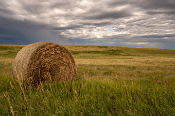 Poster - Hay Bale Sitting in Field with Copy Space