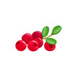 Lingonberry berries fruits, food from farm garden and wild forest, vector flat isolated icon. Lingonberries, partridgeberry, mountain cranberry or cowberry bunch ripe harvest for jam or juice desserts