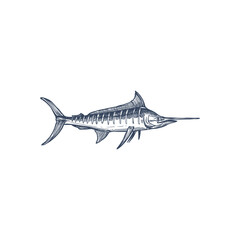 Wall Mural - Broadbills fish sword like snout isolated swordfish monochrome icon. Vector long toms marlin, broadbill saltfish with long flattened snout. Predatory game fish with long, flat bill, Xiphiidae