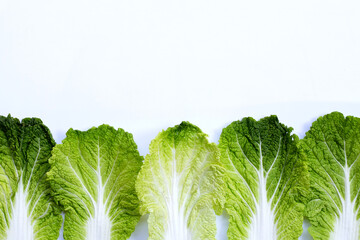 Chinese cabbage on white background. Copy space