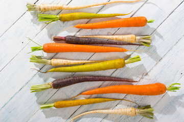 Canvas Print - carrot variations in a row, on white wood table, top view