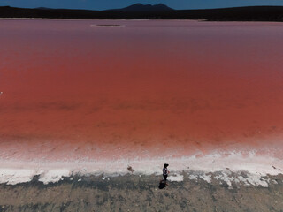 Wall Mural - Pink Lake Western Australia 