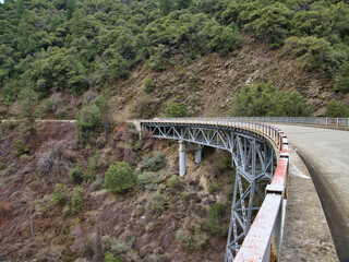 Poster - Curved bridge in the forest with no traffic