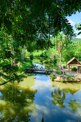 Canvas Print - Natural Park in Nan Province