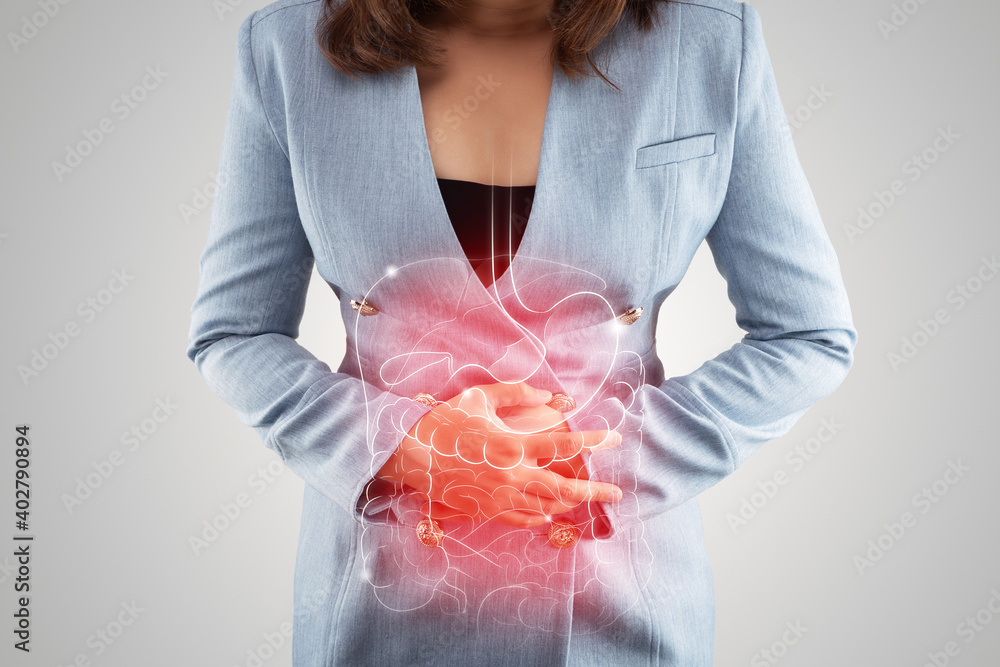 Illustration of internal organs is on the woman's body against the gray background. Business Woman touching stomach painful suffering from enteritis. internal organs of the human body. - obrazy, fototapety, plakaty 