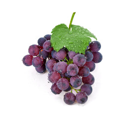 Wall Mural - grapes with drop of water isolated on white background.