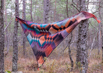 beautiful knitted scarf set in bog pine branches, bog background, scarf knitted entralact style