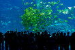 Silhouettes of people looking at fish in huge Aquarium, Fish Tank with tropical shoals of fish at Chimelong Ocean Kingdom, Zhuhai, Guangdong, China
