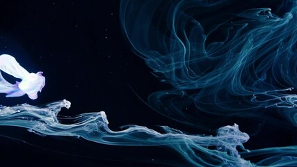 Wall Mural - Mystic Smoke on Black Background.