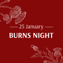 Burns Night Supper Card. Thistle On Red Background. Burns Night - National Holiday In Scotland. Template For Invitation, Poster, Flyer, Banner, Etc.