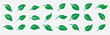 Set of green leaf ecology icon, leaf isolated on transparent background. Environment and Nature Symbol, Vector illustration.