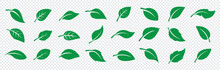 Set Of Green Leaf Ecology Icon, Leaf Isolated On Transparent Background. Environment And Nature Symbol, Vector Illustration.