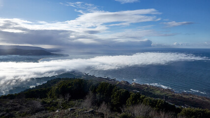 Wall Mural - fog