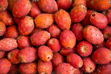 Fresh Organic Fruits Of Prickly Pear Or Opuntia In A Box, Just Collected