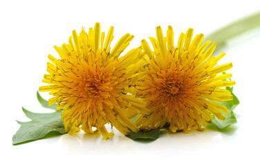 Sticker - Dandelion with leaves.