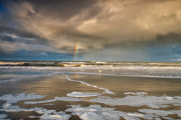 Wall Mural - rainbow over sea beach at low tide