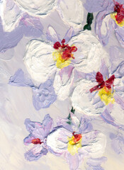 Sticker - Orchid flowers. Oil painting picture