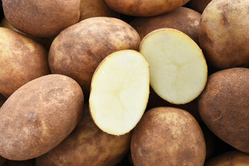 A close up image of several large organic russet potatoes in a pile. 