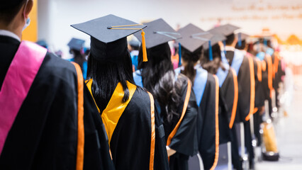 Wall Mural - Rear view of the university graduates line up for degree award in university graduation ceremony. The university graduates are gathering in the university graduation ceremony. Crowd of the graduates.