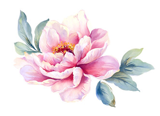 Wall Mural - Flowers watercolor illustration. Manual composition.Design for cover, fabric, textile, wrapping paper .