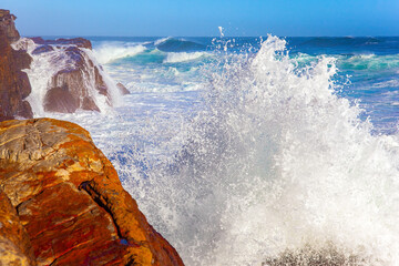 Poster - The southern tip of the Cape Peninsula