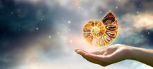 Human Hand Holding Ammonite Fossil In Universe Against Space Sky And Shining Stars Background. Symbol Of Eternity, Extinction And Evolution, Time Concept.
