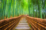 Fototapeta Dziecięca - Kyoto, Japan Bamboo Forest