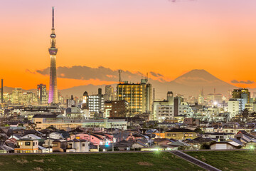 Wall Mural - Tokyo Japan and Mt. Fuji