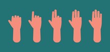 Hand Count. One To Five Fingers, Arm Showing Sign. Preschool Children Education Vector Concept. Illustration Education Closeup Count Gesture