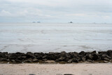 Fototapeta Morze - Landscape view of a muddy beach at low tide