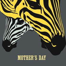 Graphical Poster With With The Heads Of A Large Zebra Female And Her Cub Closeup On Gray Background, Vector Illustration In Pop Art Collage Style. Mother Day Card