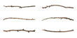 Set of old dry tree branches on white background. Banner design