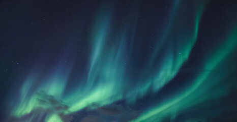 Wall Mural - aurora borealis, northern lights glowing in the night sky