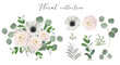 Set of floral elements. anemone ranunculus rose peony flowers, eucalyptus branches and green leaves. Vector arrangements for greeting card or weddong invitation design