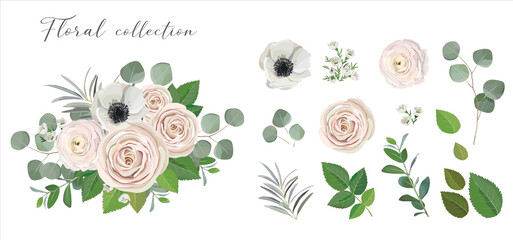 Wall Mural - set of floral elements. anemone ranunculus rose peony flowers, eucalyptus branches and green leaves.
