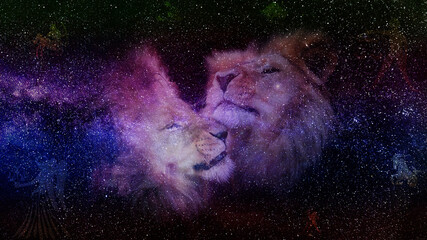 lions starry sky