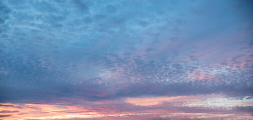 Wall Mural - pink purple and blue colored cloudscape with fleecy clouds at sunset