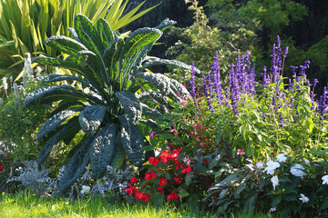 Mixed garden bed with flowers (Impatiens walleriana), vegetables (Lacinato kale) and herbs (Salvia) in South Germany