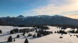 beatuiful italian alpes while wintertime with trees full of snows and an incredible sunset.
