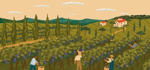 Vineyard landscape with grape tree field and winery villa on background. Hand draw vector illustration poster. The harvesting of wine grapes. People work on a winery field