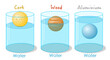 Solids of different densities. Floating or sinking in water. Measurement of density. Archimedes principle. Buoyancy force. in container; cork, wood and aluminum. School illustration vector