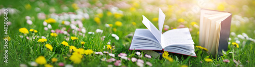 Obraz Dibond Open book in the grass on the field on sunny day