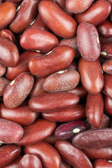 Wall Mural - red beans with visible details. background or texture