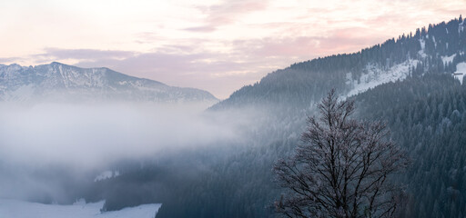 Wall Mural - misty morning in the mountains near lake spitzingsee