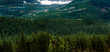 Whistler Forest, British Columbia