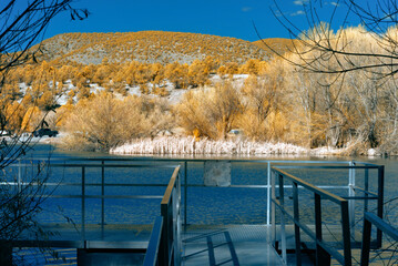 Wall Mural - Color infrared of a dock at Lake Roberts.