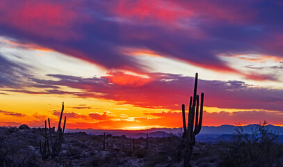 Vibrant Desert Sunset Landscape In Arzona