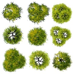 Wall Mural - collection of abstract watercolor green tree top view isolated on white background for landscape pla
