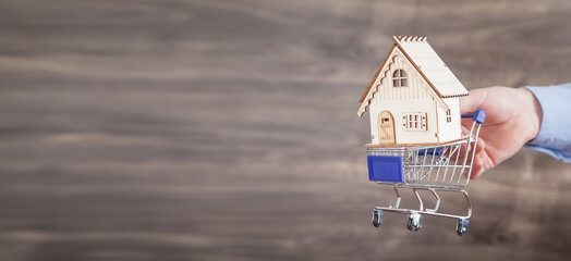 Wall Mural - Male hand holding shopping cart and wooden house model.